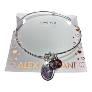 Alex and Ani Silver Charm Bracelet